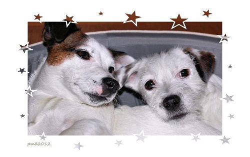 120124_Sade Alma.jpg - Sade & Alma (M. Caelia & M. Castanya)